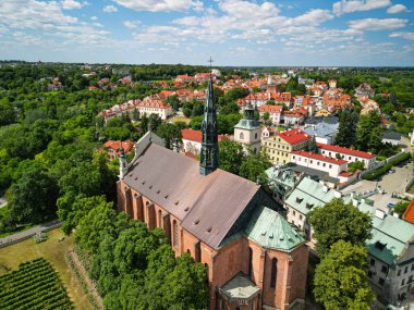 Polonya 'nın Sandomierz kentindeki Kutsal Bakire Meryem' in Doğumu Katedrali 'nin hava manzarası mavi bir gökyüzü altında yeşil ve tarihi kasaba binaları ile çevrilidir..