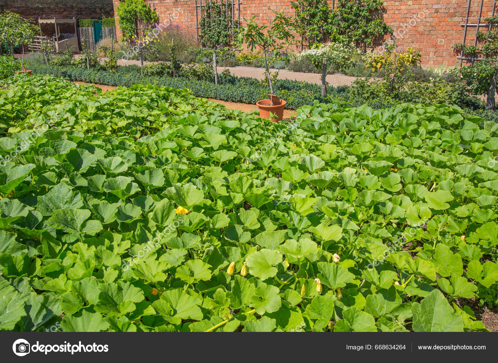 London July 2023 Kitchen Garden Hampton Court Tudors Time Stock