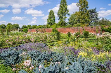 Londra, İngiltere - 29 Temmuz 2023: Hampton Court 'un mutfak bahçesi, Tudors saati 