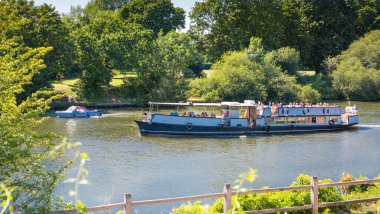 İngiliz yazı. Park ve kır çiçekleri. Londra 2023