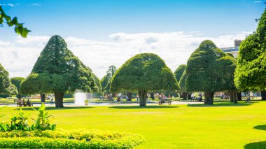 İngiliz yazı. Park ve kır çiçekleri. Londra 2023