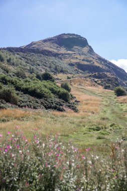 İskoçya, Edinburgh, İngiltere - 26 Ağustos 2022: Holyrood parkı ve tarihi Arthur 's Seat ile doğa koruma alanı. Antik volkan ve Edinburgh doğa parkı 