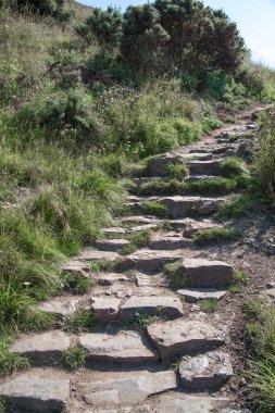 İskoçya, Edinburgh, İngiltere - 26 Ağustos 2022: Holyrood parkı ve tarihi Arthur 's Seat ile doğa koruma alanı. Antik volkan ve Edinburgh doğa parkı 