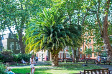 Londra, İngiltere - 9 Eylül 2023: Mayfair 'deki yerel park etrafında güzel periyodik binalar var. İnsanlar parkta dinleniyor.. 