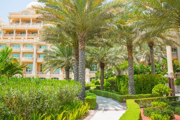 Dubai United Arab Emirates August 2023 Beautiful Park Palm Jumeirah — Stock Photo, Image