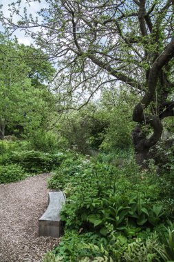 Oxford, İngiltere - 2 Haziran 2023: Oxford Üniversitesi Botanik Bahçesi 
