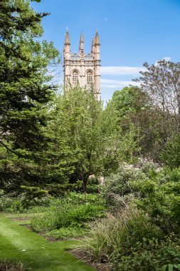Oxford, İngiltere - 2 Haziran 2023: Oxford Üniversitesi Botanik Bahçesi 
