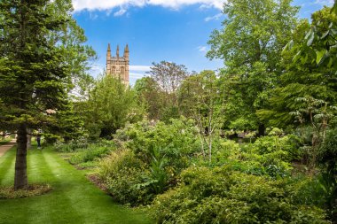 Oxford, İngiltere - 2 Haziran 2023: Oxford Üniversitesi Botanik Bahçesi 