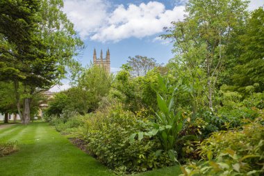 Oxford, İngiltere - 2 Haziran 2023: Oxford Üniversitesi Botanik Bahçesi 