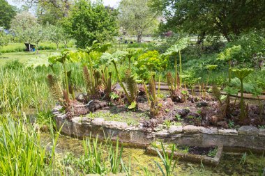 Oxford, İngiltere - 2 Haziran 2023: Oxford Üniversitesi Botanik Bahçesi 