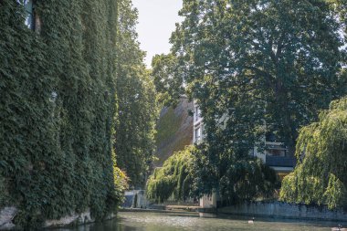 Cambridge, İngiltere - 16 Temmuz 2021: Cam nehrinin manzarası, eski üniversiteler manzarası ve tekneler 