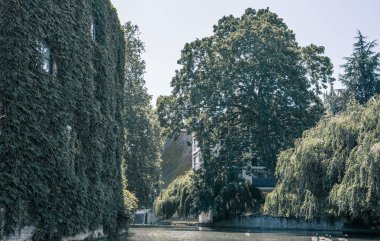 Cambridge, İngiltere - 16 Temmuz 2021: Cam nehrinin manzarası, eski üniversiteler manzarası ve tekneler 