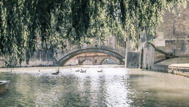 Cambridge, İngiltere - 16 Temmuz 2021: Cam nehrinin manzarası, eski köprü manzarası ve uçan tekneler 