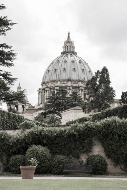 ROME, ITALY - 8 Nisan 2024: Vatikan Şehri Bahçesi, St. Petes Katedrali Kubbesi manzaralı 