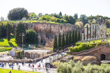 ROME, ITALY - 6 Nisan 2024: Roma forumu önemli antik hükümet binaları, tapınaklar, terimler ve zafer kemerleriyle MÖ 7. yüzyılda başladı