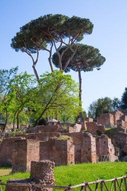 ROME, ITALY - 6 Nisan 2024: Roma 'nın önemli antik hükümet binaları, tapınakları, terimleri ve zafer kemerleriyle dolu forumu MÖ 7. yüzyılda başladı