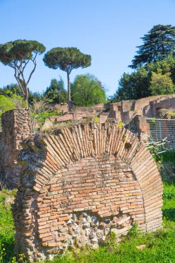 ROME, ITALY - 6 Nisan 2024: Roma 'nın önemli antik hükümet binaları, tapınakları, terimleri ve zafer kemerleriyle dolu forumu MÖ 7. yüzyılda başladı