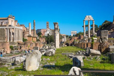 ROME, ITALY - 8 Nisan 2024: Roma forumu önemli antik hükümet binaları, tapınak kalıntıları ve antik yollar MÖ 7. yüzyılda başladı