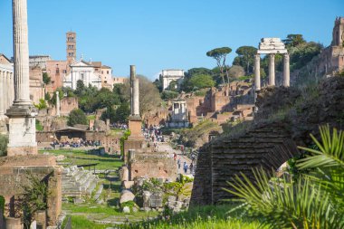 ROME, ITALY - 8 Nisan 2024: Roma forumu önemli antik hükümet binaları, tapınak kalıntıları ve antik yollar MÖ 7. yüzyılda başladı