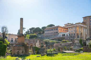 ROME, ITALY - 8 Nisan 2024: Roma forumu önemli antik hükümet binaları, tapınak kalıntıları ve antik yollar MÖ 7. yüzyılda başladı