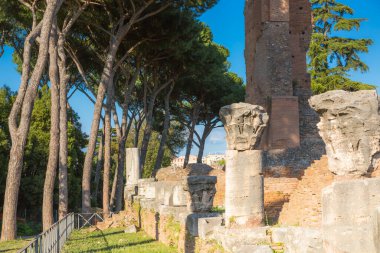 ROME, ITALY - 8 NİSAN 2024: Roma forumu, Palatine Tepesi 'nde imparatorluk sarayı harabeleri