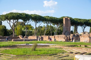 ROME, ITALY - 8 NİSAN 2024: Roma forumu, Palatine Tepesi 'nde imparatorluk sarayı harabeleri