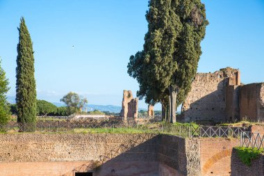 ROME, ITALY - 8 NİSAN 2024: Roma forumu, Palatine Tepesi 'nde imparatorluk sarayı harabeleri