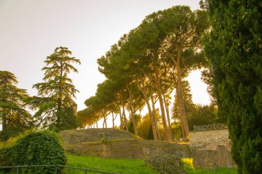 ROME, ITALY - 8 NİSAN 2024: Roma forumu, Palatine Tepesi 'nde imparatorluk sarayı harabeleri