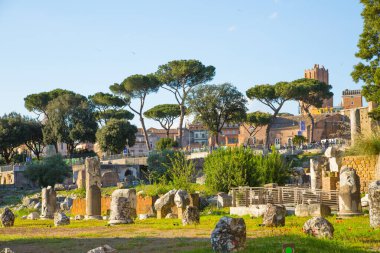ROME, ITALY - 8 NİSAN 2024: Roma forumu, Palatine Tepesi 'nde imparatorluk sarayı harabeleri