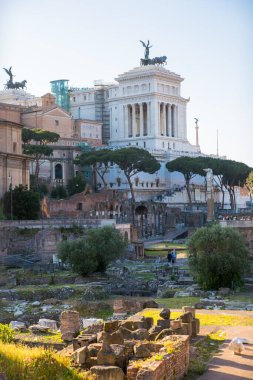 ROME, ITALY - 8 Nisan 2024: Roma forumu önemli antik hükümet binaları, tapınak kalıntıları ve antik yollar MÖ 7. yüzyılda başladı