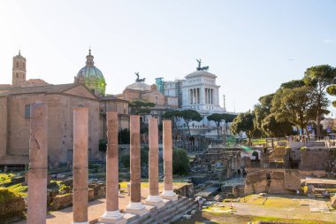 ROME, ITALY - 8 Nisan 2024: Roma forumu önemli antik hükümet binaları, tapınak kalıntıları ve antik yollar MÖ 7. yüzyılda başladı