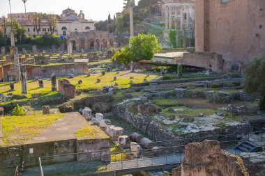 ROME, ITALY - 8 Nisan 2024: Roma forumu önemli antik hükümet binaları, tapınak kalıntıları ve antik yollar MÖ 7. yüzyılda başladı