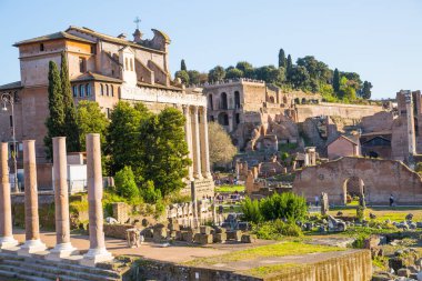 ROME, ITALY - 8 Nisan 2024: Roma forumu önemli antik hükümet binaları, tapınak kalıntıları ve antik yollar MÖ 7. yüzyılda başladı