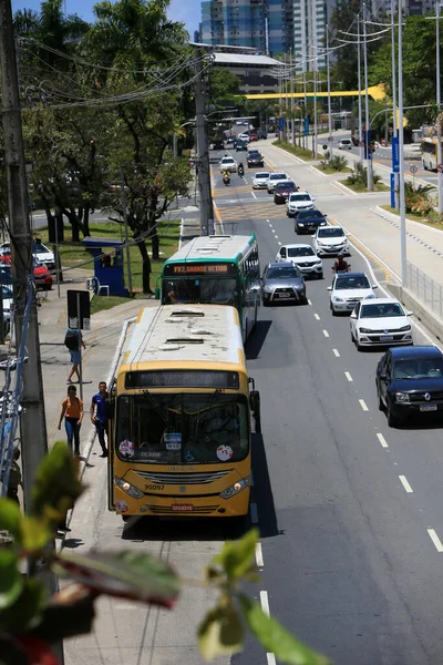 Salvador Bahia Brazil October 2022 Державний Транспорт Поруч Ексклюзивною Смугою — стокове фото