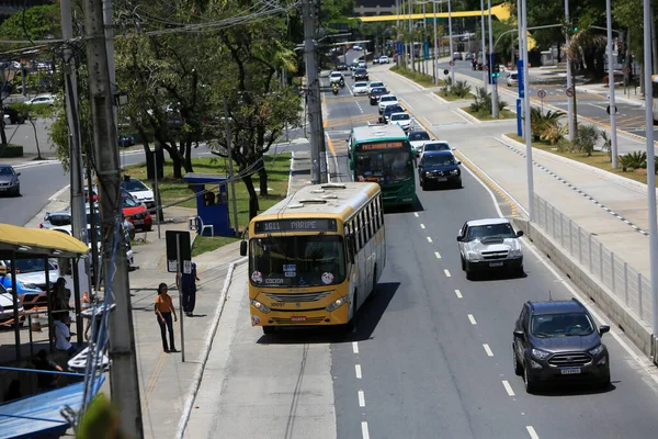 Сальвадор Баия Бразилия Октября 2022 Года Автобус Общественного Транспорта Рядом — стоковое фото