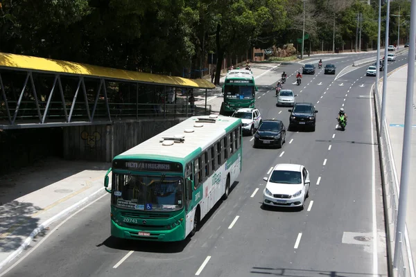 Salvador Bahia Brazil October 2022 Public Transport Bus Next Exclusive — Stock Photo, Image