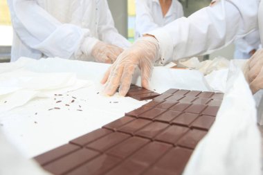 İlheus, Bahia, Brezilya - 24 Mart 2023: Bahia 'nın güneyindeki Ilheus şehrinde bir devlet okulunun öğrencileri tarafından çikolata üretimi.