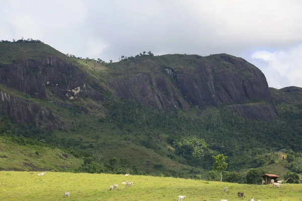 ブラジルのバイーア州ガレータ 2023年3月10日 ガレータの自治体の農村部にあるアルト カリリ国立公園の眺め — ストック写真