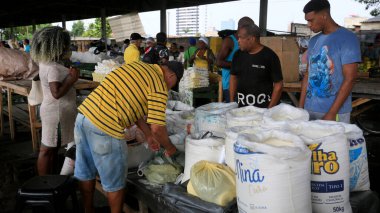 Feira de Santana, Bahia, Brezilya - 23 Nisan 2023: Feira de Santana kentindeki Feira da Estacao Nova 'da tüccar ve müşteriler görüldü..