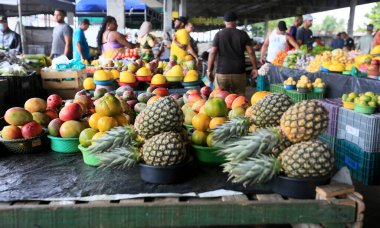 Feira de Santana, Bahia, Brezilya - 23 Nisan 2023: Feira de Santana kentindeki Feira da Estacao Nova 'da tüccar ve müşteriler görüldü..