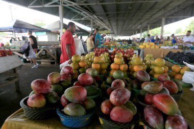 Feira de Santana, Bahia, Brezilya - 23 Nisan 2023: Feira de Santana kentindeki Feira da Estacao Nova 'da tüccar ve müşteriler görüldü..