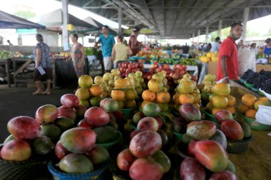 Feira de Santana, Bahia, Brezilya - 23 Nisan 2023: Feira de Santana kentindeki Feira da Estacao Nova 'da tüccar ve müşteriler görüldü..