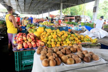 Feira de Santana, Bahia, Brezilya - 23 Nisan 2023: Feira de Santana kentindeki Feira da Estacao Nova 'da tüccar ve müşteriler görüldü..