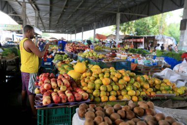 Feira de Santana, Bahia, Brezilya - 23 Nisan 2023: Feira de Santana kentindeki Feira da Estacao Nova 'da tüccar ve müşteriler görüldü..
