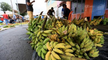 Feira de Santana, Bahia, Brezilya - 23 Nisan 2023: Feira de Santana kentindeki Feira da Estacao Nova 'da tüccar ve müşteriler görüldü..