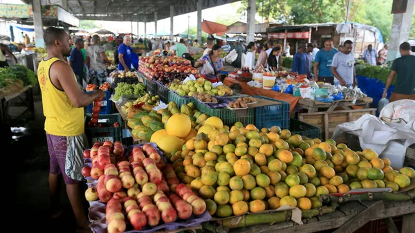 Feira de Santana, Bahia, Brezilya - 23 Nisan 2023: Feira de Santana kentindeki Feira da Estacao Nova 'da tüccar ve müşteriler görüldü..