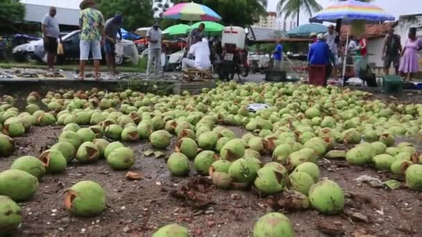 Feira Santana Bahia Brazil April 2023 在Feira Santana市的Feira Estacao Nova商店可以看到商人和顾客 — 图库视频影像