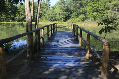 Eunapolis, Bahia, Brezilya - 14 Mart 2023: Eunapolis şehrindeki bir ekoloji parkında göl bölgesinde rıhtım.