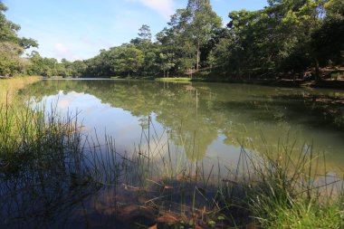 Eunapolis, Bahia, Brezilya - 14 Mart 2023: Eunapolis şehrindeki bir ekoloji parkında göl manzarası.