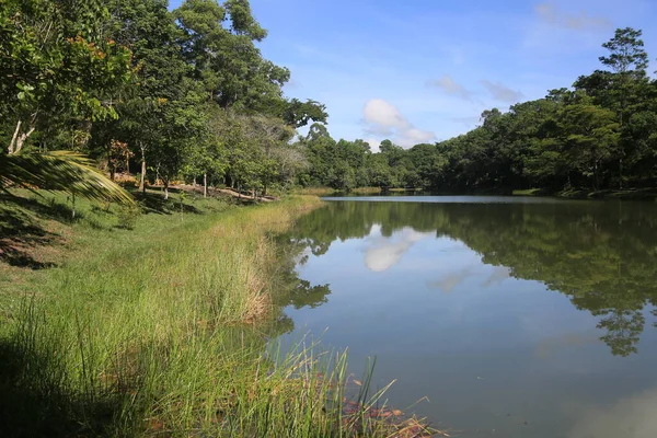 Eunápolis Bahia Brasil Março 2023 Vista Lago Parque Ecológico Cidade — Fotografia de Stock
